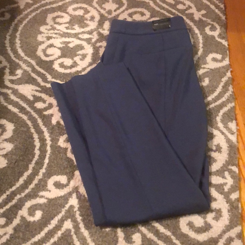 Express columnist ankle pants